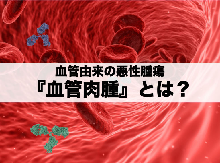 血管肉腫とは何ですか?